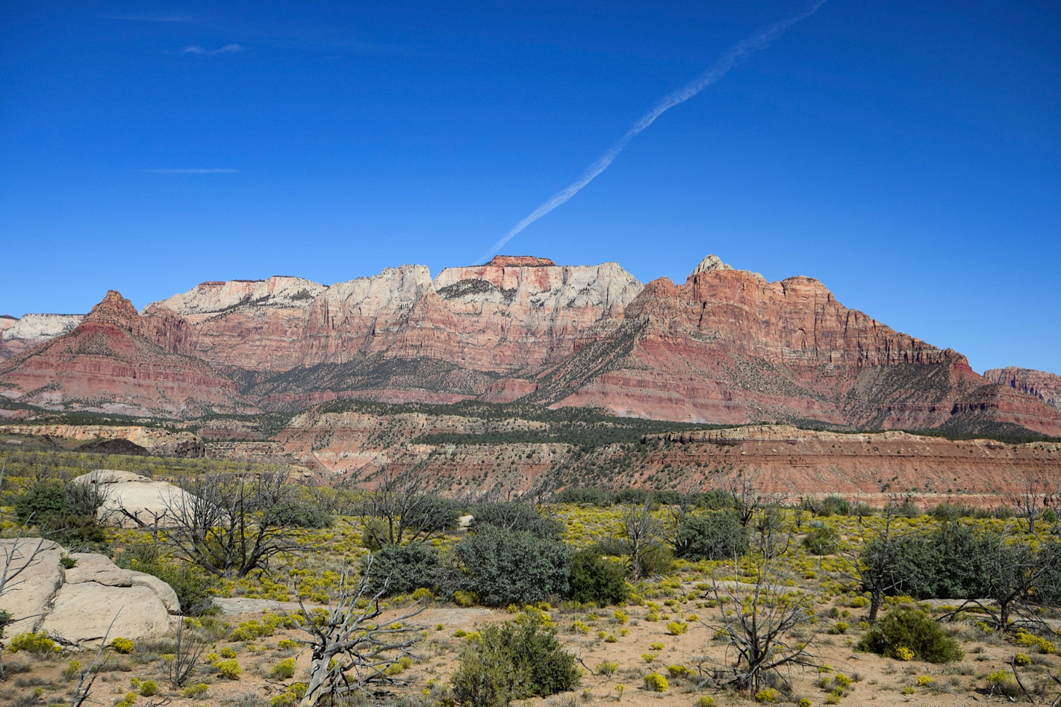 Zion River's Edge: Embracing Nature's Tranquil Serenity Thumbnail